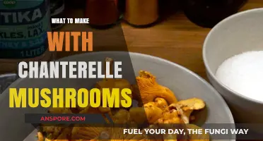 Delicious Chanterelle Mushroom Recipes: Creative Culinary Ideas to Try Today