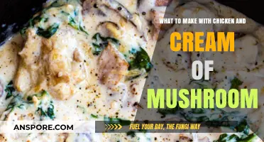 Creamy Mushroom Chicken Recipes: Delicious Dishes to Try Tonight
