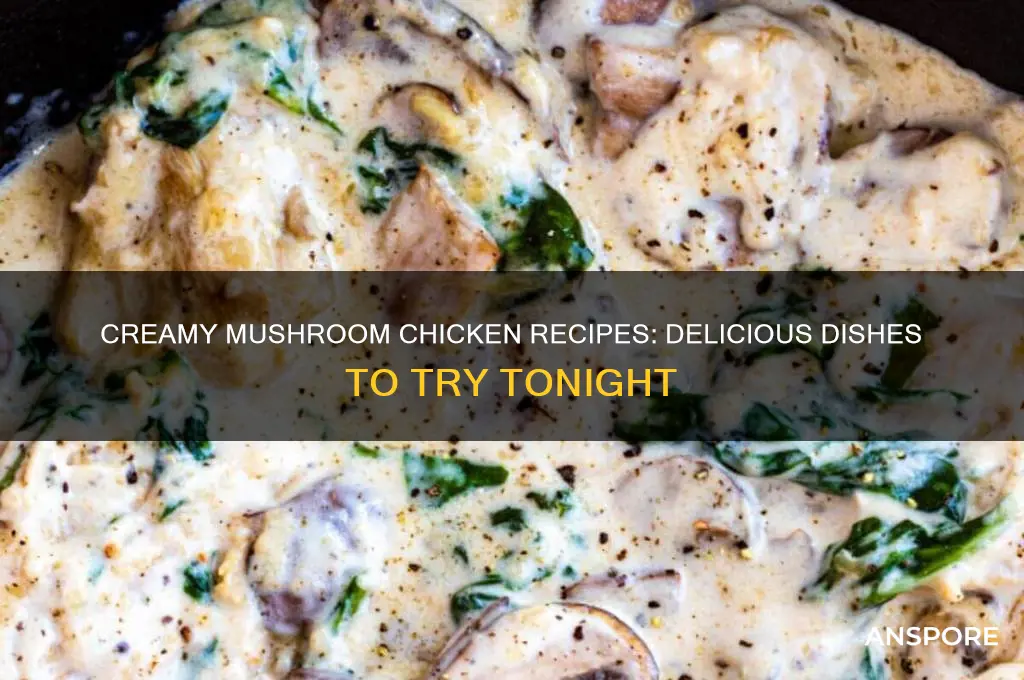 what to make with chicken and cream of mushroom
