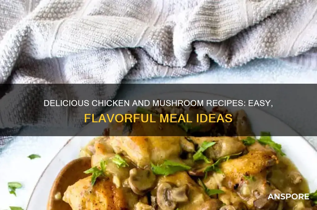 what to make with chicken and mushrooms