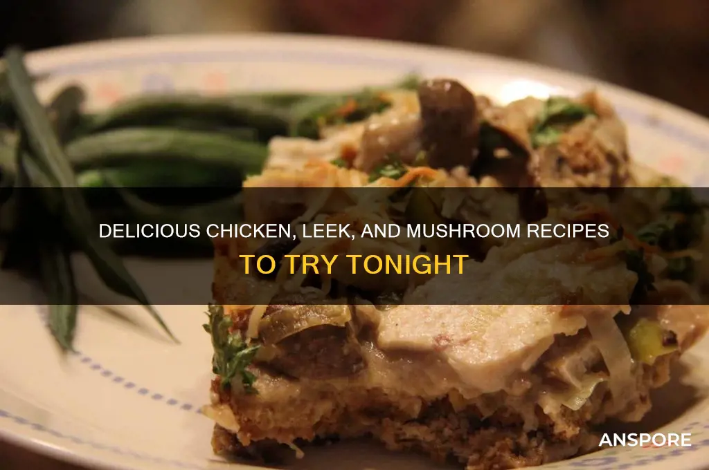 what to make with chicken leeks and mushrooms