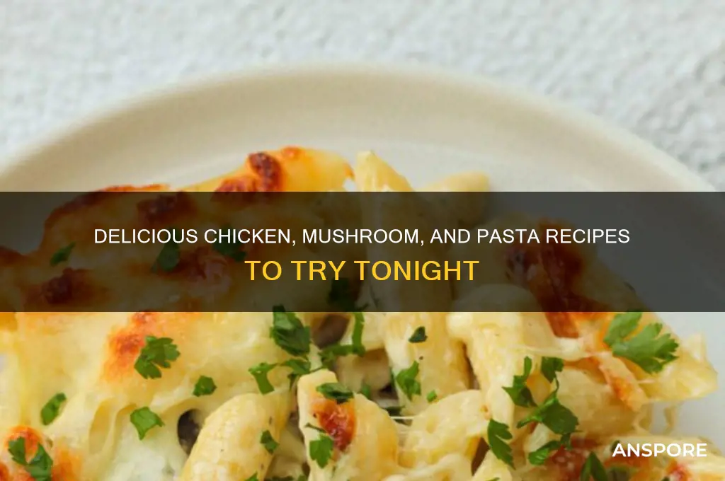 what to make with chicken mushrooms and pasta