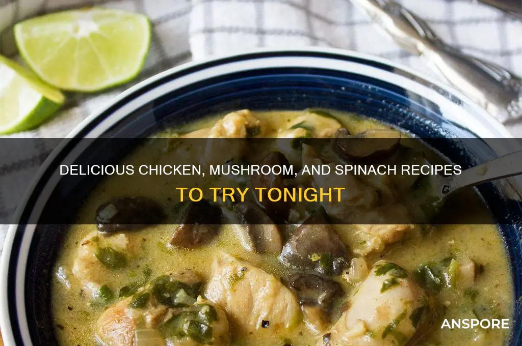 what to make with chicken mushrooms and spinach
