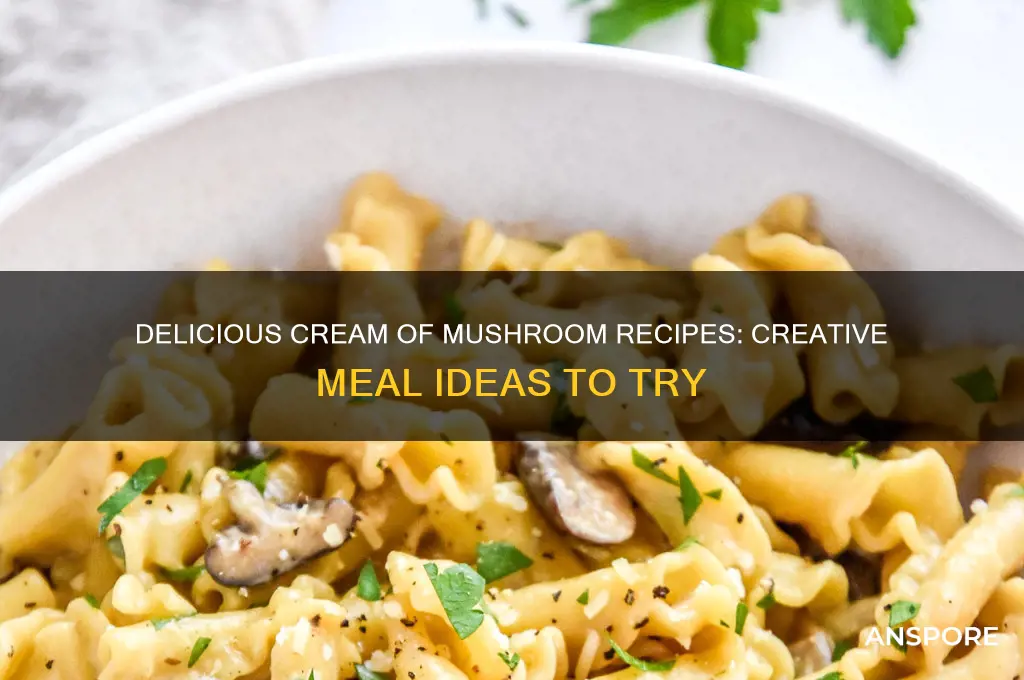 what to make with cream of mushroom