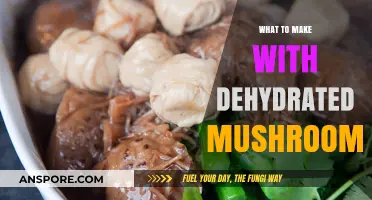 Creative Recipes Using Dehydrated Mushrooms: Flavorful Ideas to Try