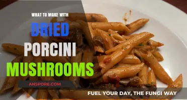 Delicious Dried Porcini Mushroom Recipes: Creative Culinary Ideas to Try