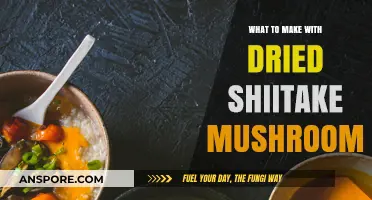 Delicious Dried Shiitake Mushroom Recipes to Elevate Your Culinary Creations
