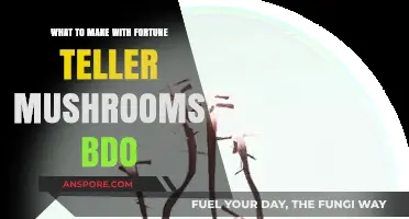 Creative Fortune Teller Mushroom Recipes in BDO: Delicious Ideas to Try