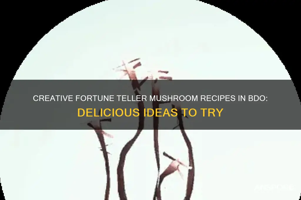 what to make with fortune teller mushrooms bdo