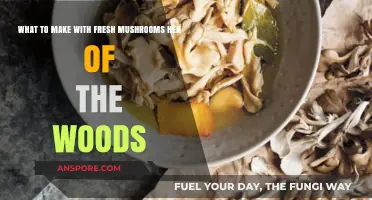 Delicious Hen of the Woods Mushroom Recipes to Try Today