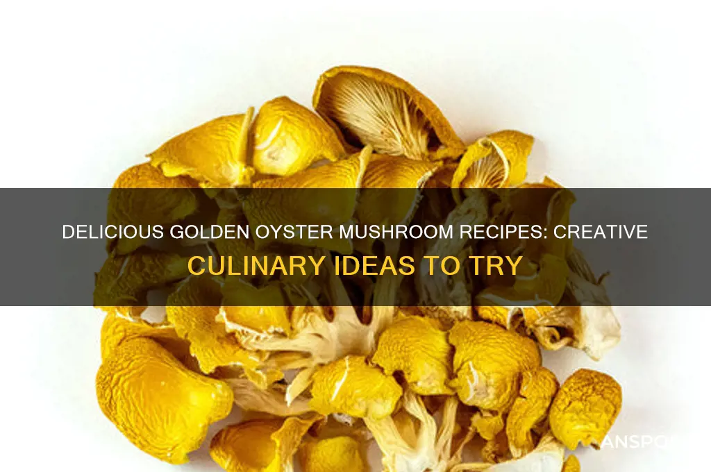 what to make with golden oyster mushrooms