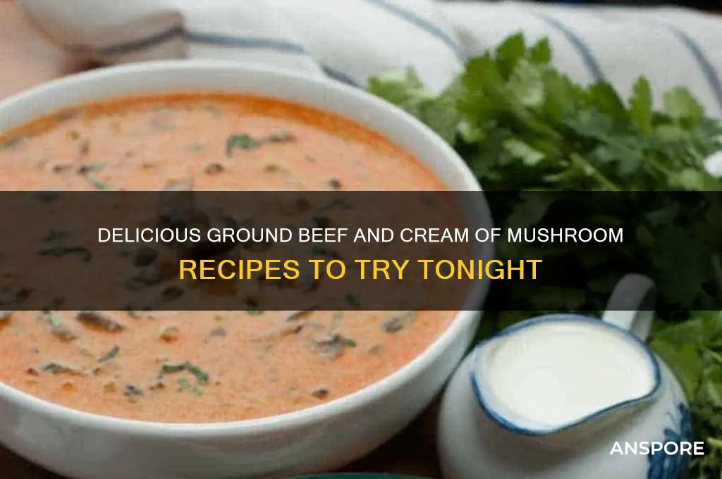 what to make with ground beef and cream of mushroom