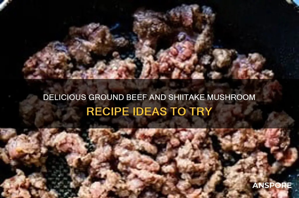 what to make with ground beef and shitaki mushrooms