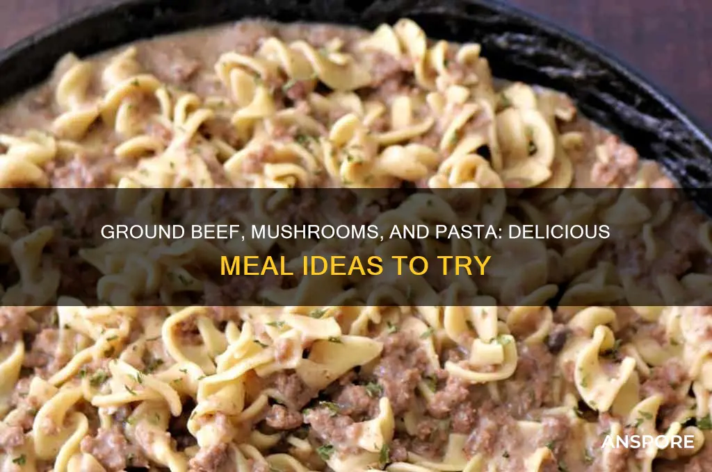 what to make with ground beef mushrooms and pasta