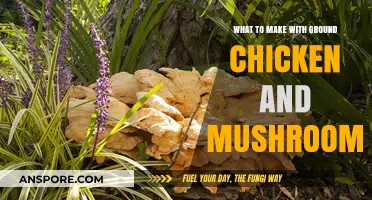 Delicious Ground Chicken and Mushroom Recipes to Try Tonight