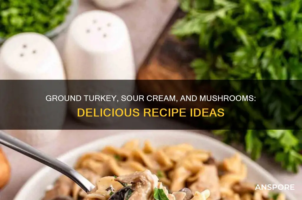 what to make with ground turkey sour cream and mushrooms