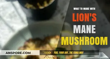 Creative Lion's Mane Mushroom Recipes: Delicious Ways to Enjoy This Superfood
