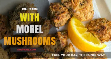 Delicious Morel Mushroom Recipes: Creative Ways to Cook with This Spring Treasure