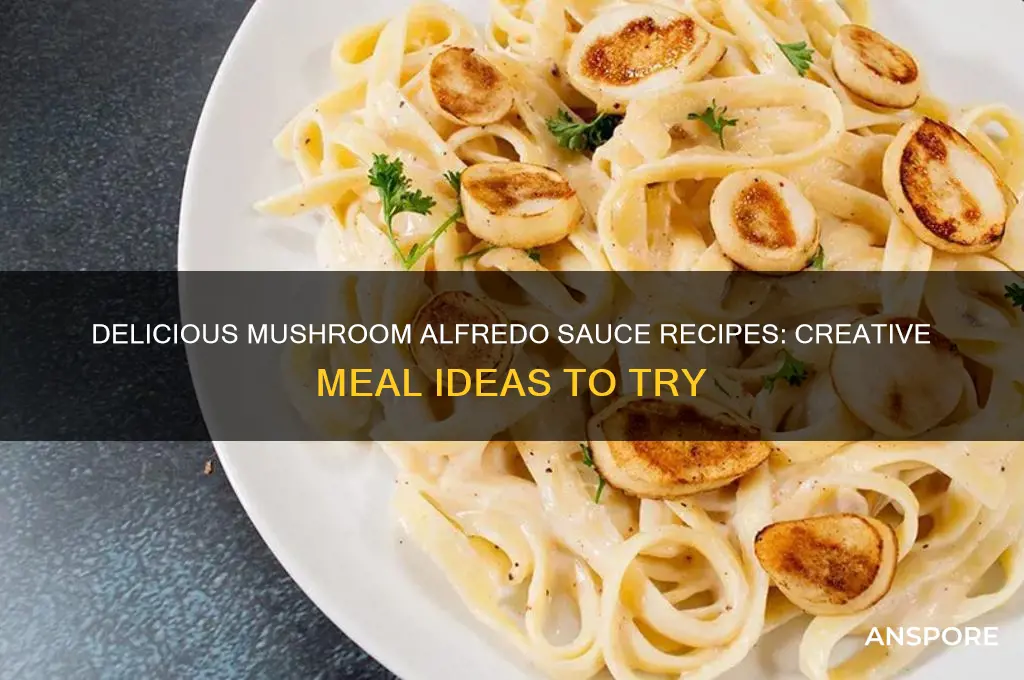 what to make with mushroom alfredo sauce