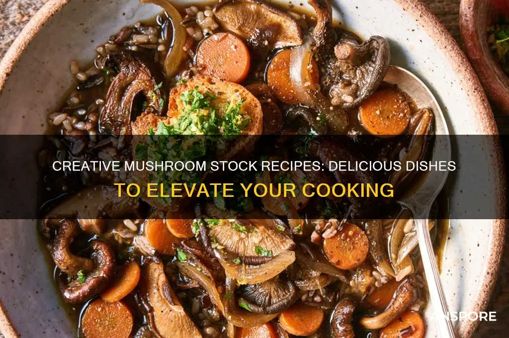 what to make with mushroom stock