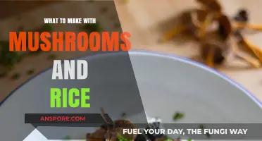 Delicious Mushroom and Rice Recipes: Creative, Easy, and Flavorful Meal Ideas