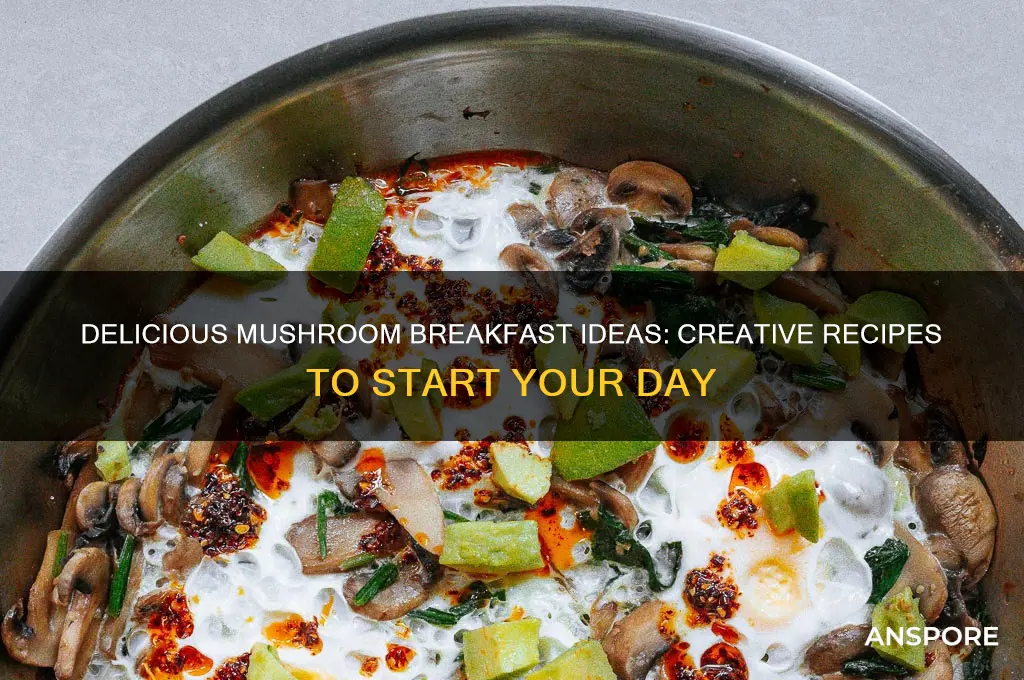 what to make with mushrooms for breakfast