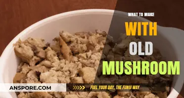 Creative Ways to Use Old Mushrooms: Delicious Recipes and Tips