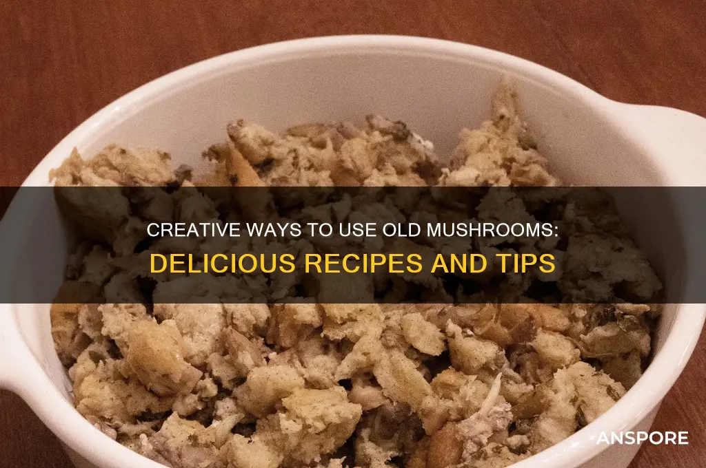 what to make with old mushrooms