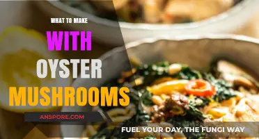 Delicious Oyster Mushroom Recipes: Creative Ways to Cook and Enjoy