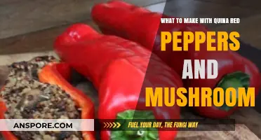 Quina Red Peppers and Mushrooms: Creative Recipes to Spice Up Your Meals