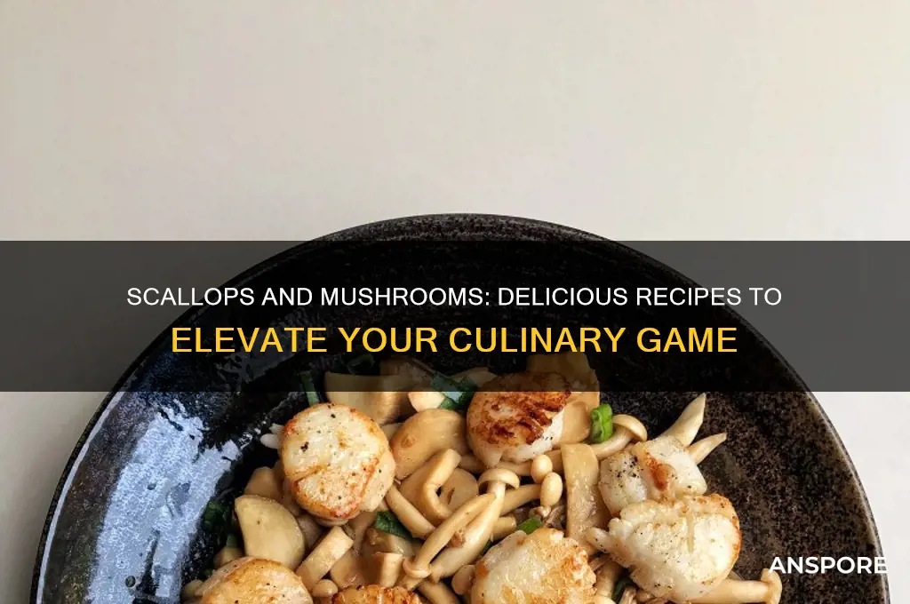what to make with scallops and mushrooms