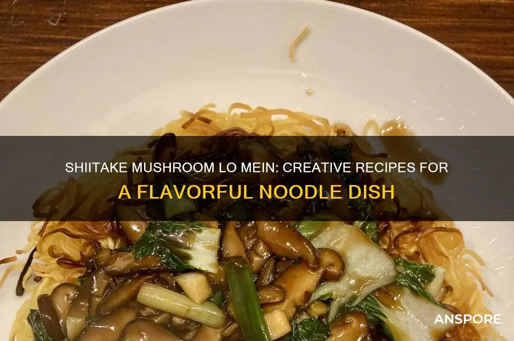 what to make with shiitake mushrooms in lo mein