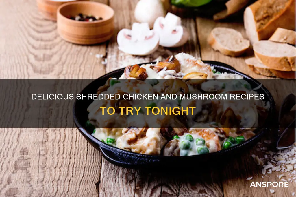what to make with shredded chicken and mushrooms