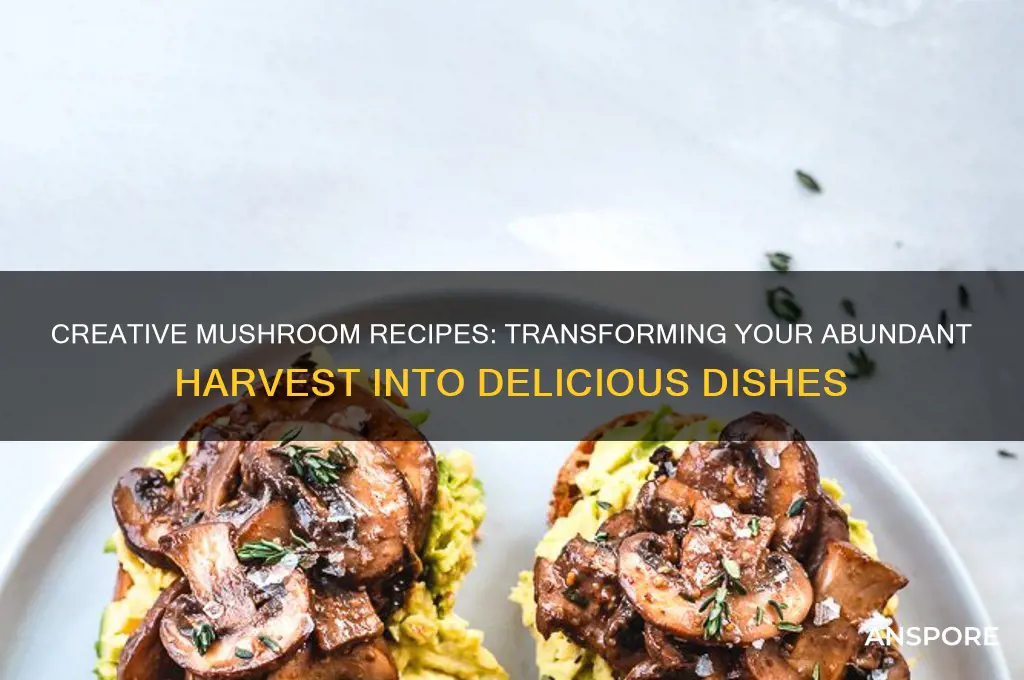 what to make with too many mushrooms