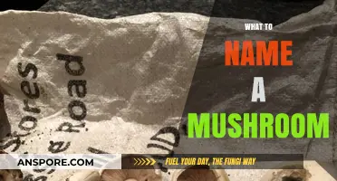 Mushroom Naming: Creative and Fun Ideas