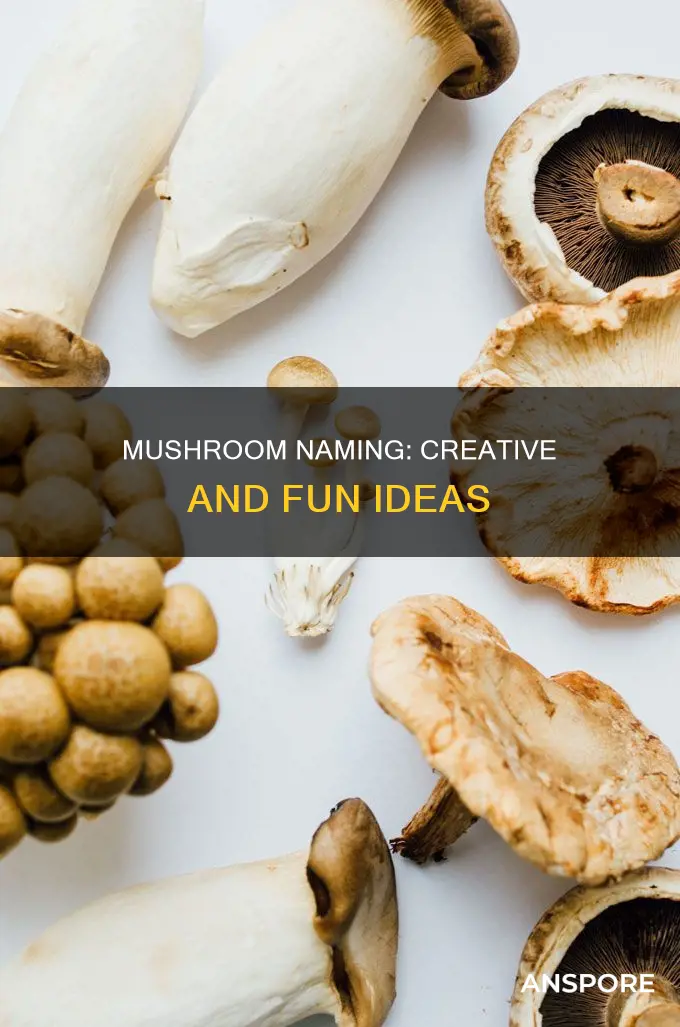 what to name a mushroom