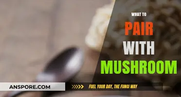 Mushroom Magic: Perfect Pairing Ideas for Your Plate