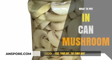 Creative Mushroom Canning Ideas: Delicious Fillings to Preserve and Enjoy
