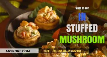Delicious Stuffed Mushroom Fillings: Creative Recipes and Flavor Combinations