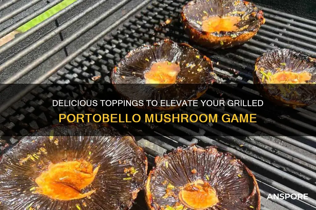 what to put on grilled portobello mushrooms