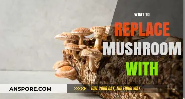Meal Makeovers: Replacing Mushrooms in Your Favorite Dishes