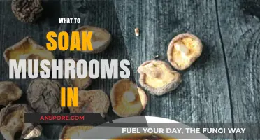 The Best Liquids to Soak Mushrooms In