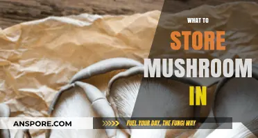 Storing Mushrooms: Best Containers and Their Benefits