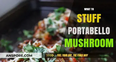 Portabello Mushroom Magic: Best Stuffing Ideas