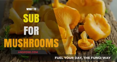 Swap Mushrooms for These Ingredients in Your Next Dish