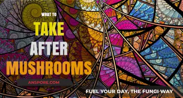 Best Practices for Post-Mushroom Consumption