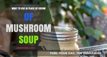 Cream of Mushroom Soup Alternatives: Healthy and Flavorful Substitutes to Try