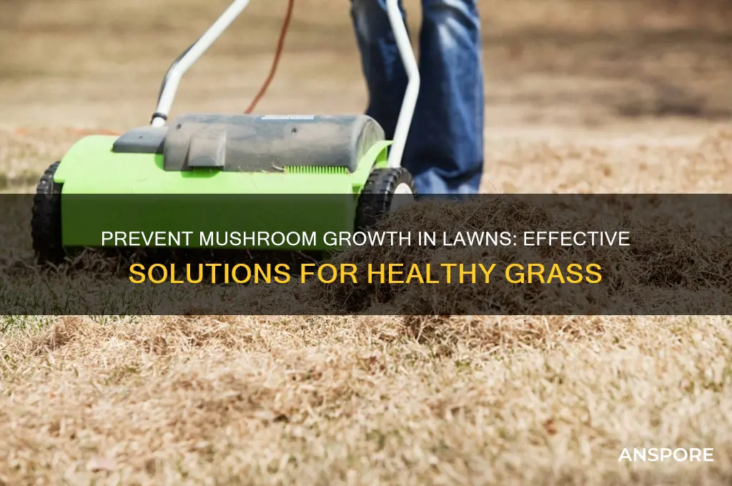 what to use to keep mushrooms from grow in grass