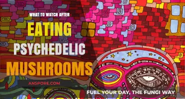 Post-Psychedelic Mushroom Trip: Best Visuals and Shows to Enhance Your Experience