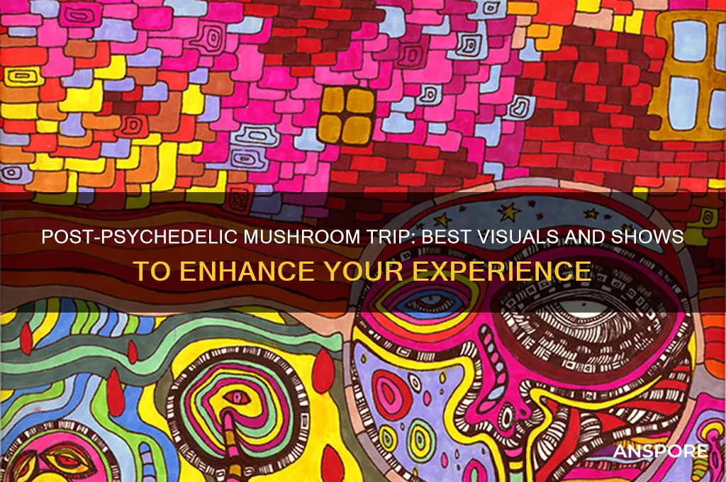 what to watch after eating psychedelic mushrooms
